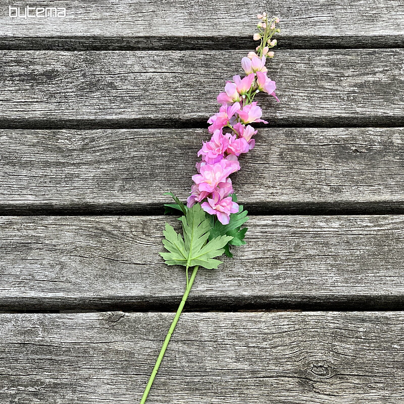 Delphinium pink 79 cm