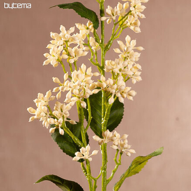 VIBURNUM TINUS WHITE