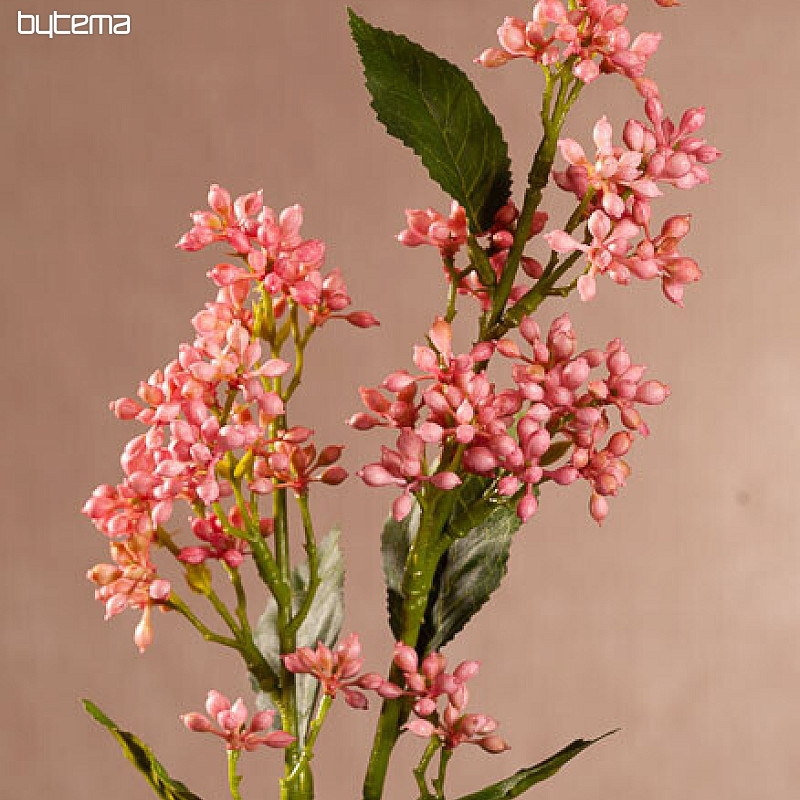 VIBURNUM TINUS PINK