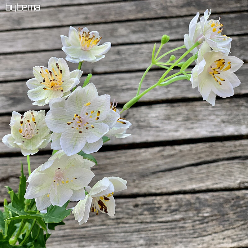 WHITE WILD FLOWER