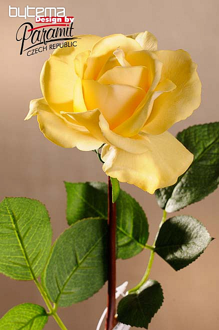 Yellow rose cm | Bytema 67