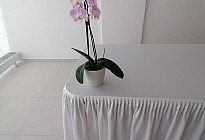 Curtains and a tablecloth with a skirt for the ceremonial room in the village of Lešná