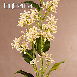 VIBURNUM TINUS WHITE