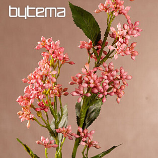 VIBURNUM TINUS PINK