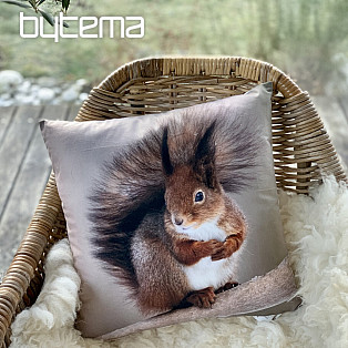 Decorative pillowcase THE SQUIRREL RUSTS