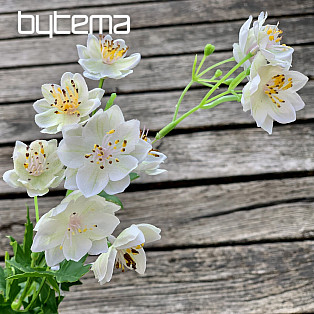 WHITE WILD FLOWER