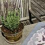 Tapestry tablecloth and shawl LAVENDER LACE