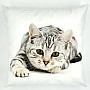 Decorative cushion cover LYING CAT