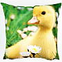 Decorative pillow cover GOSLING