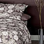 Luxury flannel bedding IRISETTE KOALA 8531-60 beige