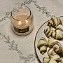 Embroidered Christmas tablecloth and shawl SILVER MISTLE