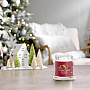 candle YC fragrance RED APPLE WREATH GLASS MEDIUM 2 wicks