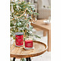 candle YC scent SPARKLING CINNAMON GLASS MEDIUM 2 wicks