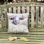 Pillowcase SHEEP