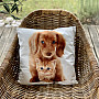 Dog and Cat Pillowcase