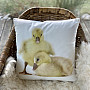 Decorative pillowcase GOOSE