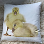 Decorative pillowcase GOOSE