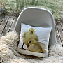 Decorative pillowcase GOOSE