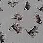 Decorative fabric cat FELIX digital print