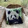 Decorative coating PANDA