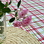 LAURA tablecloth - pink check