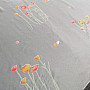 White veil curtain with spring flowers